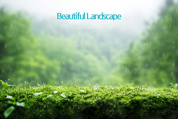 PSD 나무 편집이미지 자연 잔디 사람없음 초록색 풀 비 숲 경관 이미지편집 자연요소 식물 컬러 날씨 풍경 생태계 파일형식