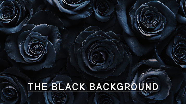 PSD 편집이미지 백그라운드 사람없음 장미 검은색 어둠 질감 이미지편집 꽃 컬러 파일형식