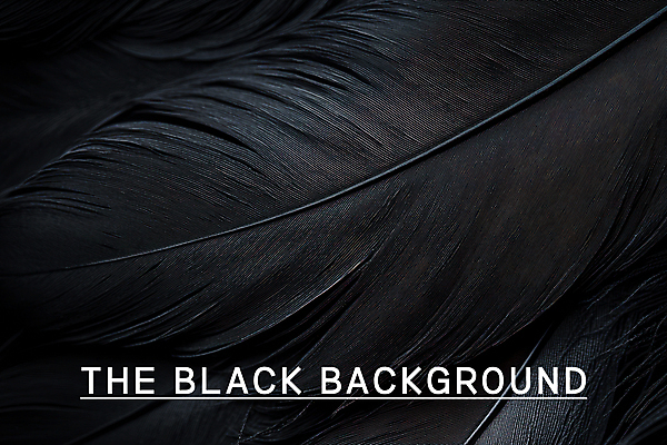 PSD 편집이미지 백그라운드 사람없음 검은색 어둠 깃털 질감 이미지편집 컬러 파일형식