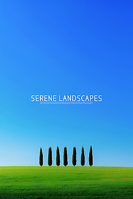 PSD 나무 편집이미지 하늘 잔디 초원 사람없음 평화 맑음 고요 언덕 목가 경관 청량 이미지편집 식물 컨셉 날씨 풍경 파일형식