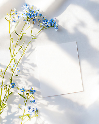 JPG 편집이미지 봄꽃 프레임 그림자 사람없음 빛 햇빛 천 목업 카피스페이스 편집실사 AI포토 AI콘텐츠 카드프레임 꽃 태양 봄 공백 직물 CG 파일형식