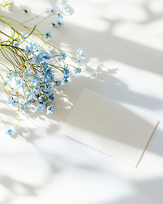 JPG 편집이미지 봄꽃 프레임 그림자 사람없음 빛 햇빛 목업 카피스페이스 편집실사 AI포토 AI콘텐츠 카드프레임 꽃 태양 봄 공백 CG 파일형식