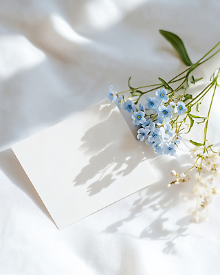 JPG 편집이미지 잎 봄꽃 프레임 그림자 사람없음 빛 햇빛 천 목업 카피스페이스 편집실사 AI포토 AI콘텐츠 카드프레임 식물 꽃 태양 봄 공백 직물 CG 파일형식