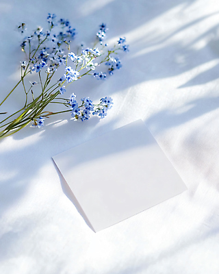 JPG 편집이미지 봄꽃 프레임 그림자 사람없음 빛 햇빛 천 목업 카피스페이스 편집실사 AI포토 AI콘텐츠 카드프레임 꽃 태양 봄 공백 직물 CG 파일형식