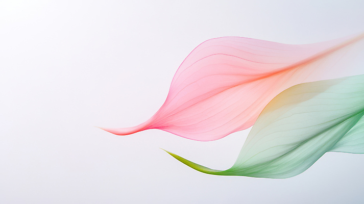 JPG 식물 편집이미지 분홍색 사람없음 초록색 봄 안스리움 편집실사 AI컴퓨터그래픽 AI콘텐츠 계절 꽃 컬러 CG 파일형식