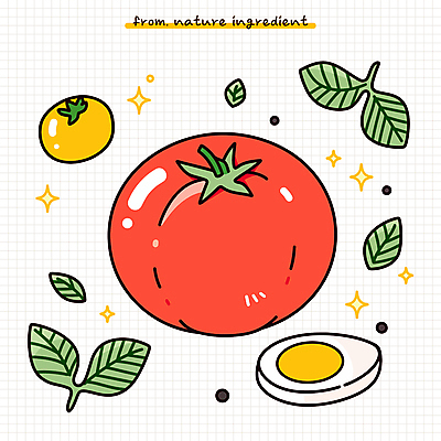 음식 잎 토마토 일러스트 식재료 사람없음 반짝임 신선 유기농 슬라이스 영양 삶은계란 건강식 맛있는 국내일러스트 AI파일 식물 웰빙 채소 모션 계란 계란요리 파일형식 벡터