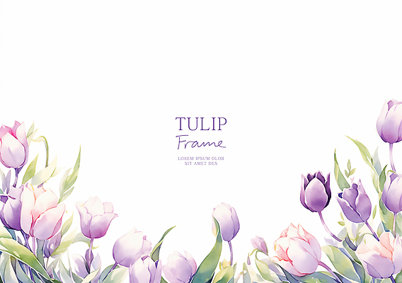 PSD 잎 일러스트 봄꽃 수채화 프레임 사람없음 보라색 튤립 카피스페이스 국내일러스트 식물 꽃 컬러 봄 공백 파일형식