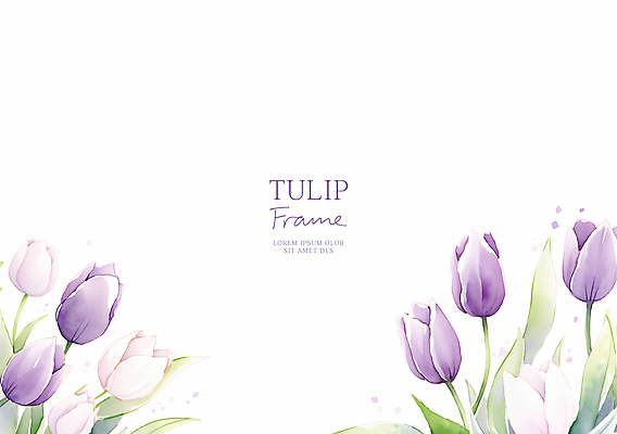 PSD 잎 일러스트 봄꽃 수채화 프레임 사람없음 보라색 튤립 카피스페이스 국내일러스트 식물 꽃 컬러 봄 공백 파일형식