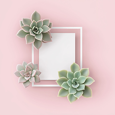 JPG 편집이미지 분홍색 프레임 사람없음 장식 인테리어 다육식물 카피스페이스 편집실사 AI포토 AI콘텐츠 식물 디자인 컬러 공백 CG 파일형식