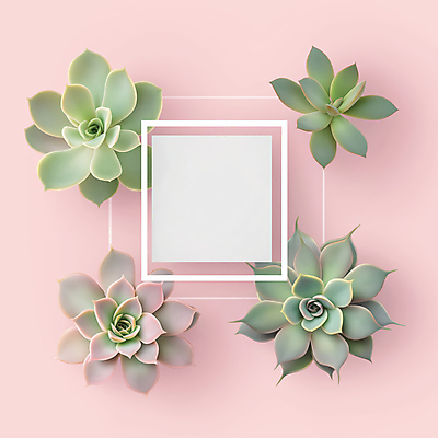 JPG 편집이미지 분홍색 프레임 사람없음 장식 인테리어 다육식물 카피스페이스 편집실사 AI포토 AI콘텐츠 식물 디자인 컬러 공백 CG 파일형식