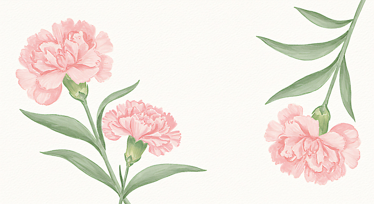 JPG 분홍색 잎 일러스트 수채화 사람없음 어버이날 스승의날 카네이션 가정의달 국내일러스트 AI일러스트 AI콘텐츠 식물 기념일 꽃 컬러 5월 파일형식
