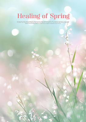 PSD 편집이미지 봄꽃 사람없음 풀잎 보케 힐링 파스텔톤 이미지편집 꽃 컬러 잎 봄 풀_식물 파일형식