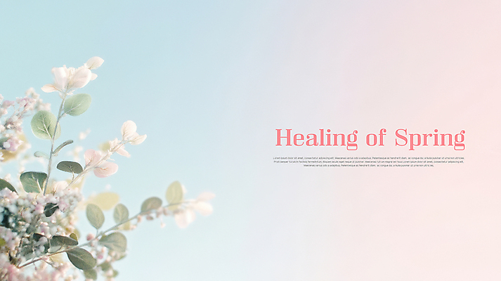 PSD 편집이미지 분홍색 하늘색 백그라운드 잎 봄꽃 사람없음 보케 힐링 그라데이션 파스텔톤 이미지편집 식물 꽃 컬러 파란색 봄 파일형식