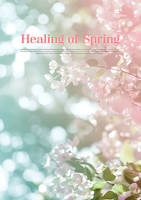 PSD 편집이미지 분홍색 하늘색 잎 봄꽃 사람없음 보케 힐링 파스텔톤 이미지편집 식물 꽃 컬러 파란색 봄 파일형식