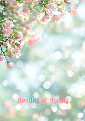 PSD 편집이미지 백그라운드 잎 봄꽃 사람없음 풀잎 꽃봉오리 보케 힐링 파스텔톤 이미지편집 식물 꽃 컬러 봄 풀_식물 파일형식