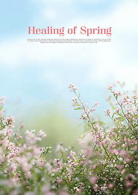 PSD 편집이미지 백그라운드 봄꽃 하늘 사람없음 풀잎 보케 힐링 파스텔톤 이미지편집 꽃 컬러 잎 봄 풀_식물 파일형식