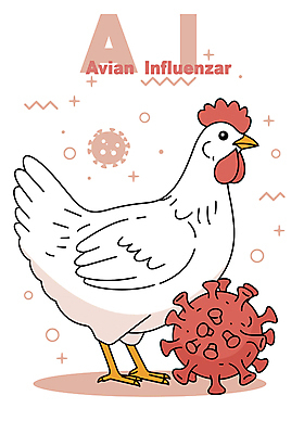한마리 분홍색 일러스트 사람없음 닭 바이러스 백신 조류독감 조류인플루엔자 국내일러스트 AI파일 1 컬러 의학 조류 전염병 파일형식 벡터