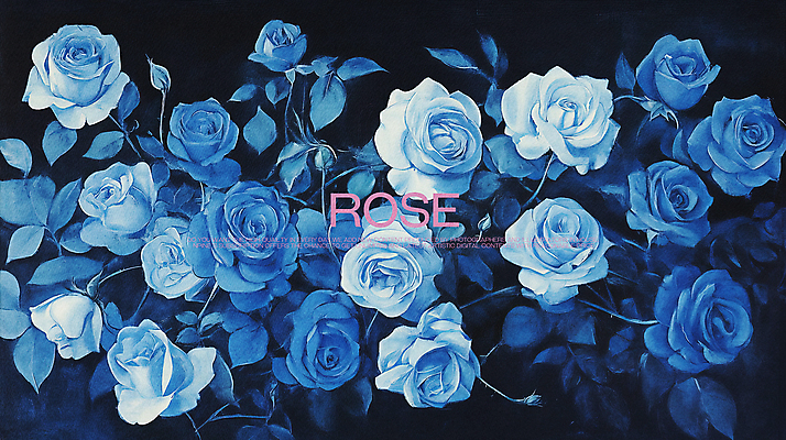 PSD 디자인 백그라운드 잎 일러스트 사람없음 파란색 장미 빈티지 클래식 국내일러스트 식물 꽃 컬러 컨셉 파일형식