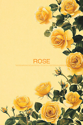 PSD 디자인 백그라운드 잎 일러스트 사람없음 장미 노란색 빈티지 클래식 꽃봉오리 카피스페이스 국내일러스트 식물 꽃 컬러 컨셉 공백 파일형식