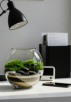 JPG 편집이미지 탁자 그림자 이끼 취미 사람없음 스마트폰 흙 바위 스탠드 원예식물 타이머 유리화분 테라리움 편집실사 AI포토 AI콘텐츠 식물 화분 가구 조명 핸드폰 스마트기기 돌_바위 CG 원예 파일형식