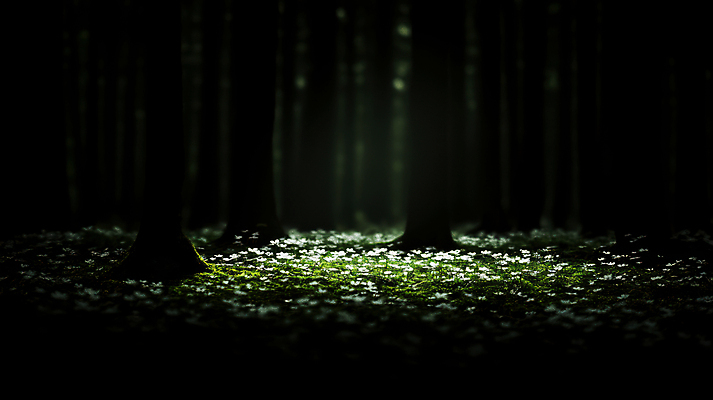 JPG 나무 편집이미지 꽃밭 자연 사람없음 빛 검은색 어둠 봄 야간 숲속 풀꽃 편집실사 AI포토 AI콘텐츠 자연요소 식물 계절 꽃 컬러 숲 CG 생태계 파일형식