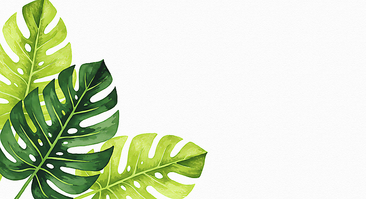 JPG 잎 일러스트 수채화 사람없음 초록색 몬스테라 카피스페이스 보테니컬아트 국내일러스트 AI일러스트 AI콘텐츠 식물 컬러 공백 파일형식