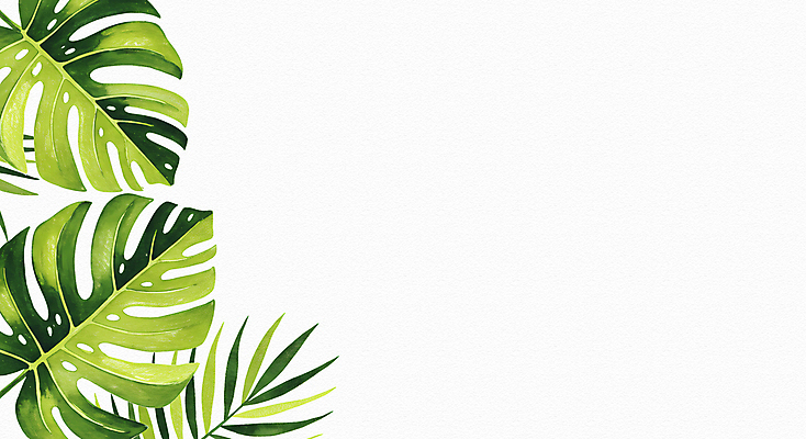 JPG 잎 일러스트 사람없음 초록색 몬스테라 카피스페이스 보테니컬아트 국내일러스트 AI일러스트 AI콘텐츠 식물 컬러 공백 파일형식