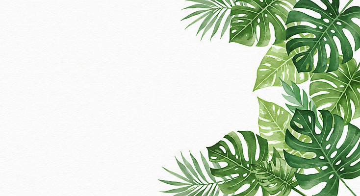 JPG 잎 일러스트 사람없음 초록색 몬스테라 카피스페이스 보테니컬아트 국내일러스트 AI일러스트 AI콘텐츠 식물 컬러 공백 파일형식