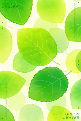 PSD 백그라운드 일러스트 나뭇잎 수채화 사람없음 초록색 겹침 국내일러스트 컬러 잎 파일형식