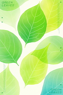 PSD 백그라운드 일러스트 나뭇잎 수채화 사람없음 초록색 겹침 국내일러스트 컬러 잎 파일형식