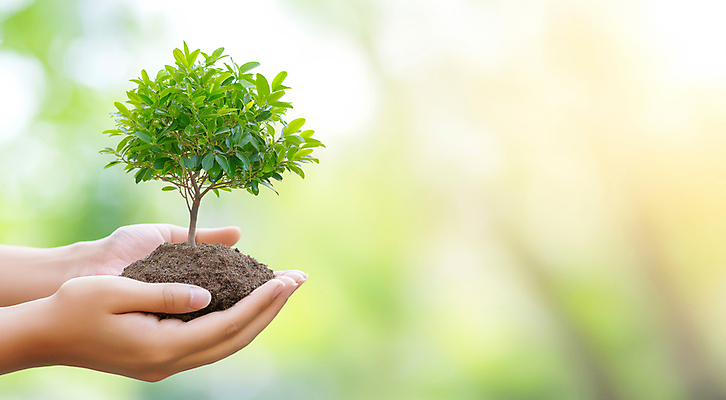 JPG 편집이미지 손 들기 신체부위 햇빛 자연보호 환경 흙 식목일 나무심기 묘목 편집실사 AI인물포토 AI콘텐츠 나무 기념일 모션 자연 사람 태양 보호 CG 심기 파일형식 AI포토
