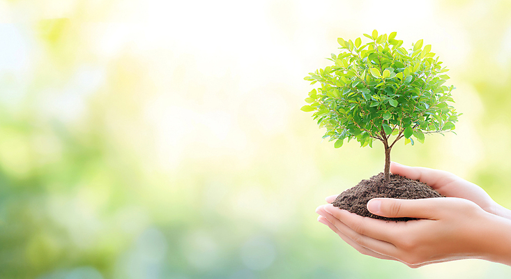 JPG 편집이미지 손 들기 신체부위 햇빛 자연보호 환경 흙 식목일 나무심기 묘목 세계환경의날 편집실사 AI인물포토 AI콘텐츠 나무 기념일 모션 자연 사람 태양 보호 CG 심기 파일형식 법정기념일 AI포토