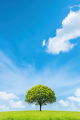 JPG 구름 편집이미지 하늘 한그루 잔디 사람없음 평화 언덕 편집실사 AI포토 AI콘텐츠 자연요소 나무 식물 1 컨셉 CG 파일형식