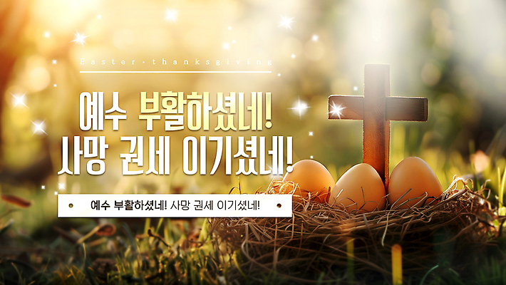 사람없음 빛 반짝임 주황색 풀 둥지 PPT 프레젠테이션 부활절계란 예배 나무십자가 애니형PPT 모션그래픽 MP4 모션템플릿 식물 템플릿 컬러 십자가 모션 부활절 계란 동영상 파일형식