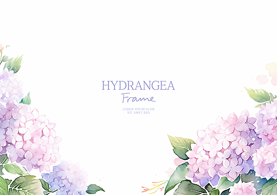 PSD 잎 일러스트 수채화 사람없음 보라색 수국 꽃프레임 국내일러스트 식물 꽃 컬러 프레임 파일형식