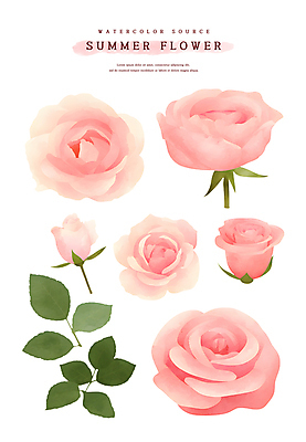 PSD 분홍색 스티커 잎 일러스트 여름꽃 수채화 사람없음 장미 꽃봉오리 엘리먼트 국내일러스트 식물 꽃 컬러 파일형식 여름_계절