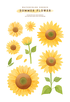 PSD 꽃잎 스티커 잎 일러스트 여름꽃 해바라기 수채화 사람없음 노란색 꽃봉오리 엘리먼트 국내일러스트 식물 꽃 컬러 파일형식 여름_계절