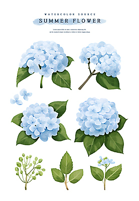 PSD 꽃잎 하늘색 스티커 잎 일러스트 여름꽃 수채화 사람없음 초록색 꽃봉오리 수국 엘리먼트 국내일러스트 식물 꽃 컬러 파란색 파일형식 여름_계절
