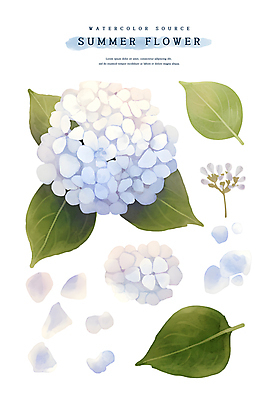 PSD 꽃잎 하늘색 스티커 잎 일러스트 여름꽃 수채화 사람없음 초록색 꽃봉오리 수국 엘리먼트 국내일러스트 식물 꽃 컬러 파란색 파일형식 여름_계절
