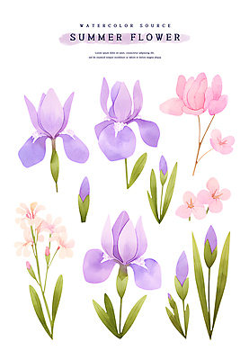 PSD 꽃잎 스티커 잎 일러스트 여름꽃 수채화 사람없음 보라색 꽃봉오리 아이리스 붓꽃 엘리먼트 국내일러스트 식물 꽃 컬러 파일형식 여름_계절
