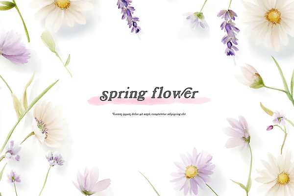 PSD 일러스트 봄꽃 수채화 사람없음 풀잎 꽃봉오리 데이지 라벤더 꽃프레임 국내일러스트 꽃 잎 프레임 봄 풀_식물 허브 파일형식