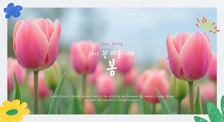 PSD 편집이미지 종이 잎 봄꽃 사진 자연 색연필 사람없음 봄풍경 튤립 질감 이미지편집 식물 꽃 학용품 풍경 봄 생태계 파일형식