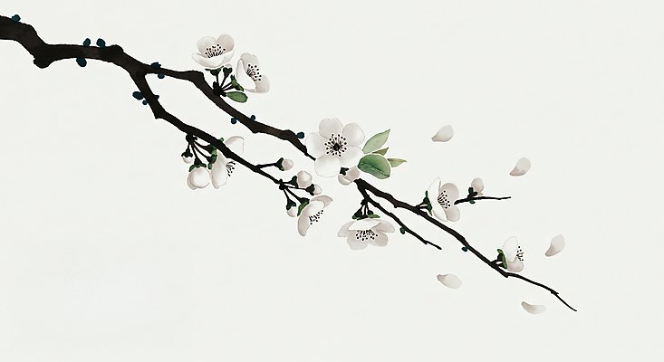 JPG 나무 꽃잎 일러스트 붓터치 수묵화 사람없음 흰색 나뭇가지 분위기 꽃봉오리 국내일러스트 AI일러스트 AI콘텐츠 식물 꽃 컬러 컨셉 미술 파일형식