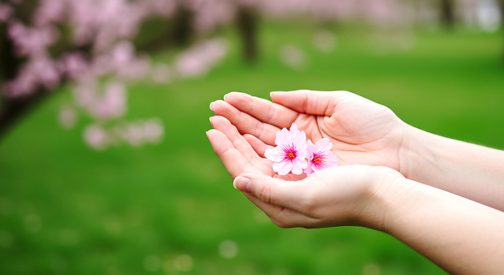 JPG 편집이미지 손 휴식 들기 잔디 신체부위 봄풍경 벚꽃 감성 편집실사 AI인물포토 AI콘텐츠 식물 꽃 컨셉 모션 사람 풍경 봄 CG 파일형식 AI포토