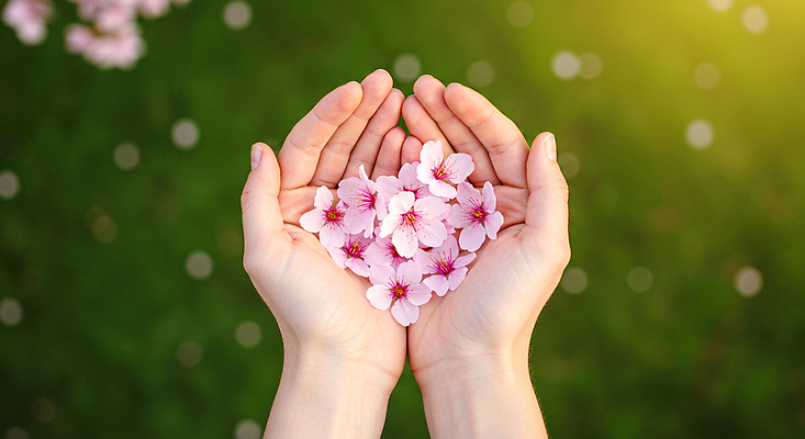 JPG 편집이미지 손 휴식 들기 잔디 신체부위 햇빛 봄풍경 벚꽃 보케 감성 편집실사 AI인물포토 AI콘텐츠 식물 꽃 컨셉 모션 사람 풍경 태양 봄 CG 파일형식 AI포토