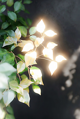 JPG 편집이미지 나뭇잎 사람없음 빛 어둠 신비 감성 편집실사 AI포토 AI콘텐츠 컨셉 잎 CG 파일형식