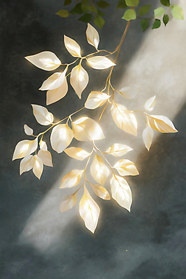 JPG 편집이미지 나뭇잎 사람없음 빛 어둠 신비 감성 편집실사 AI포토 AI콘텐츠 컨셉 잎 CG 파일형식