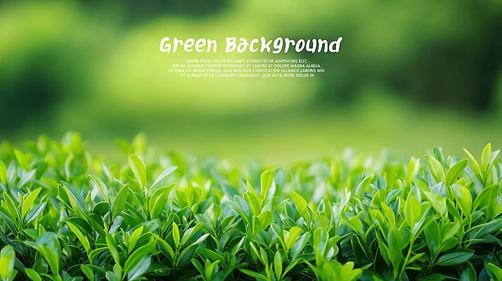 PSD 편집이미지 백그라운드 자연 사람없음 초록색 풀잎 싱그러움 이미지편집 컬러 잎 풀_식물 생태계 파일형식