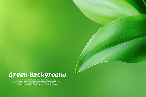 PSD 편집이미지 백그라운드 잎 자연 사람없음 초록색 싱그러움 이미지편집 식물 컬러 생태계 파일형식