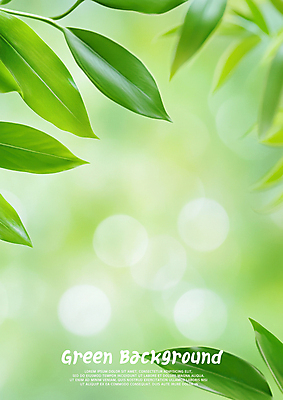 PSD 편집이미지 백그라운드 자연 나뭇잎 사람없음 초록색 보케 싱그러움 이미지편집 컬러 잎 생태계 파일형식